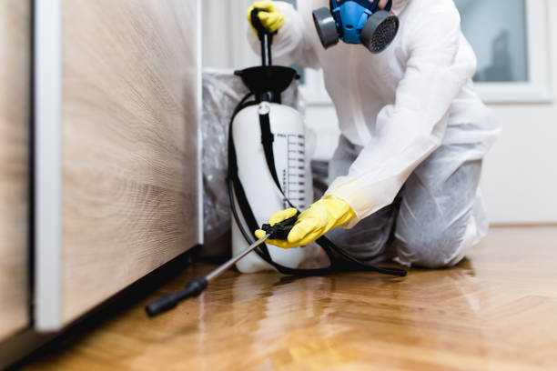 Best Insect Control  in Brighton, MI