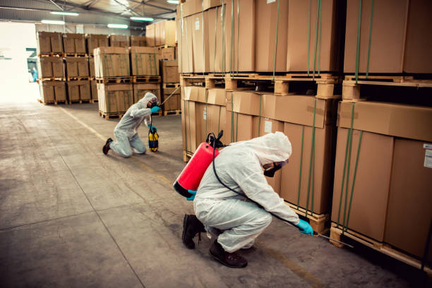 Best Local Pest Control Services  in Brighton, MI