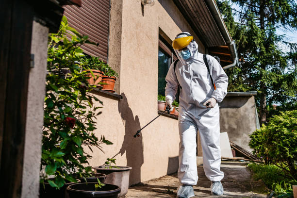 Best Best Pest Control Companies  in Brighton, MI
