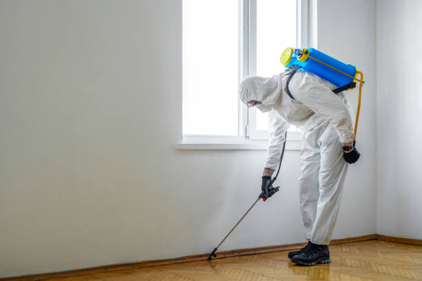 Best Best Pest Control Companies  in Brighton, MI