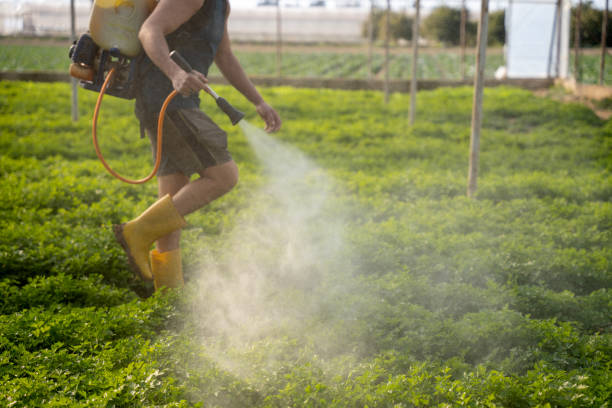 Best Affordable Pest Control Services  in Brighton, MI