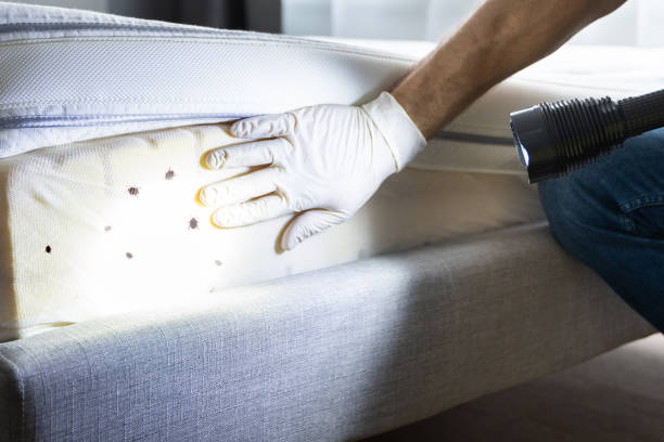 Best Pest Inspection Near Me  in Brighton, MI