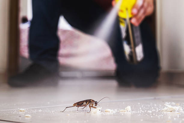 Best Pest Prevention Services  in Brighton, MI
