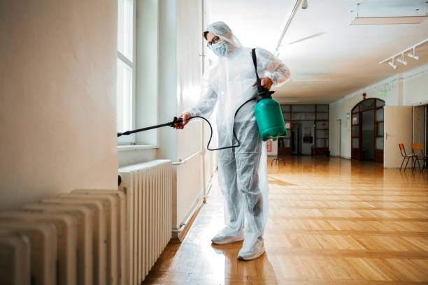 Best Rat Extermination Near Me  in Brighton, MI