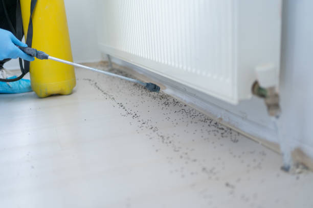 Professional Pest Control in Brighton, MI
