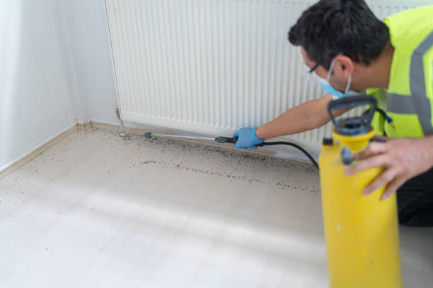 Best Bed Bug Extermination  in Brighton, MI